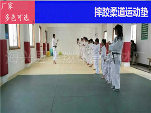 柔道训练比赛垫子