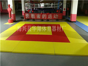 红黄相间的柔道当地垫
