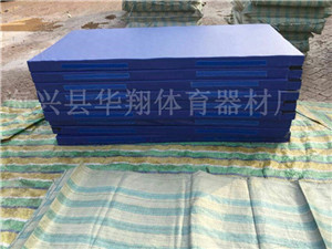 11八公分摔跤垫子