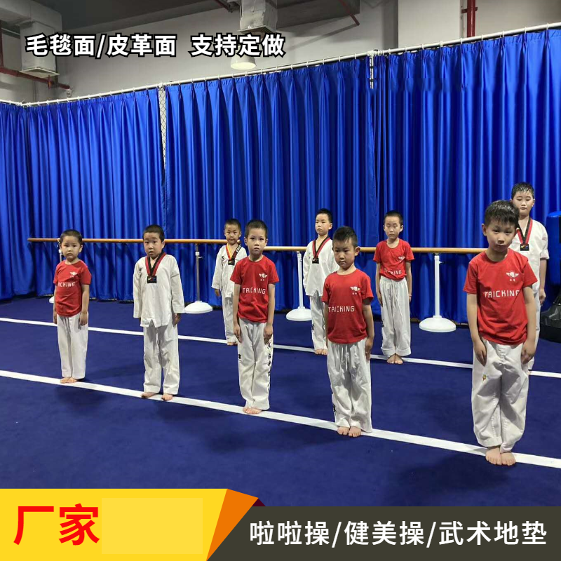 摔跤垫,自由式摔跤垫尺寸,摔跤垫子厂家定做自由摔跤垫盖单