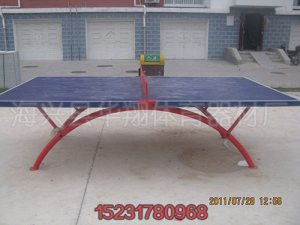 河北   室内双折叠移动学校专用乒乓球台