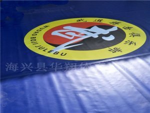 01武术散打盖单