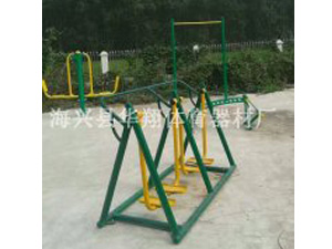 双踏健身器材