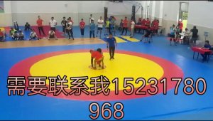 摔跤垫生产厂家 摔跤垫材质
