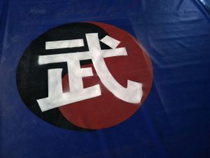 摔跤垫盖单摔跤盖单---摔跤垫子摔跤垫摔跤垫摔跤垫子生产厂家